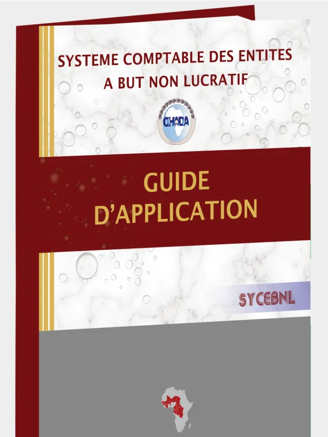 Couverture du document : Guide SYCEBNL