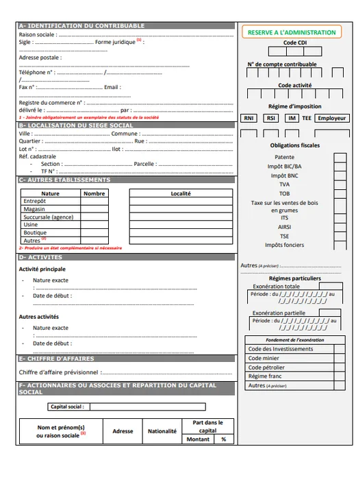 DFE personnes morales, page 1 : identification du contribuable, siège social, établissements, activités