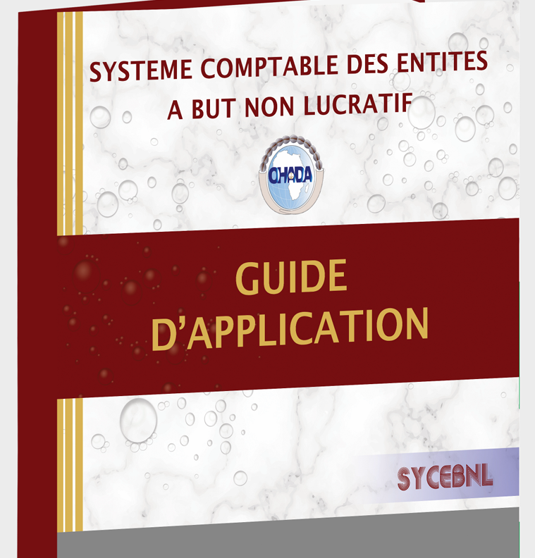 Guide SYCEBNL – Comptabilité des Associations et Fondations